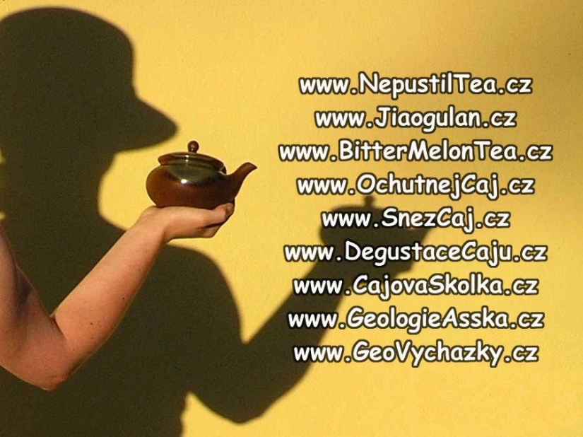 Profil firmy NepustilTea.cz