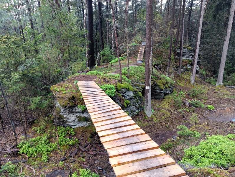 Image 8