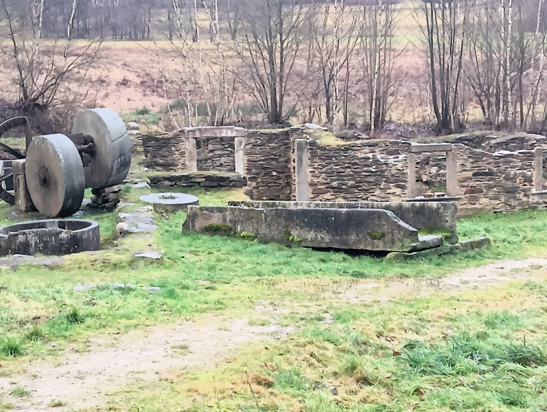 Image 11