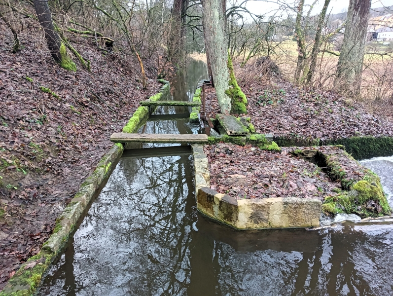 Image 8