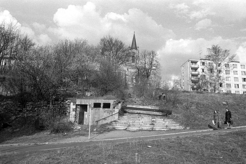 Image 8