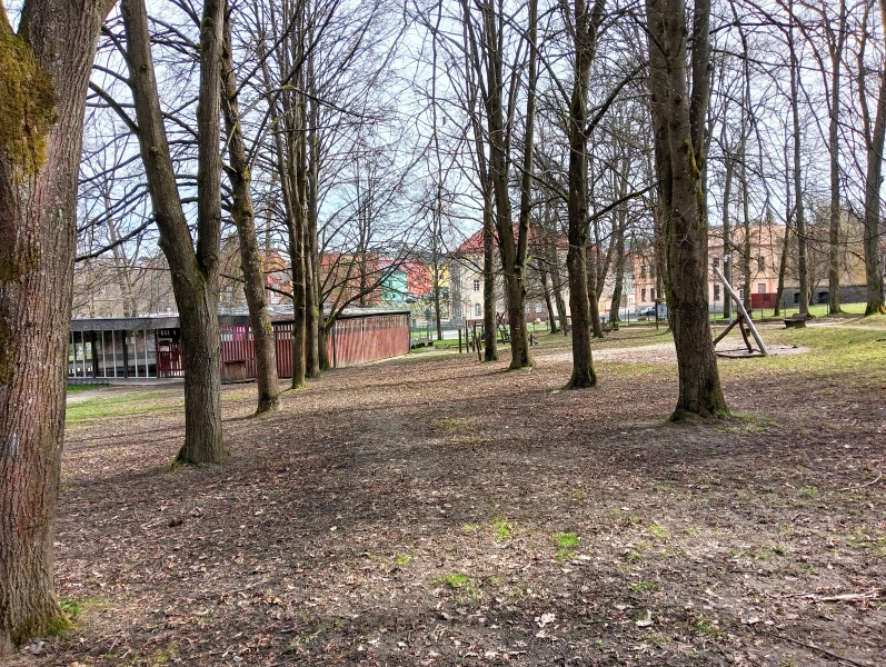 Image 8