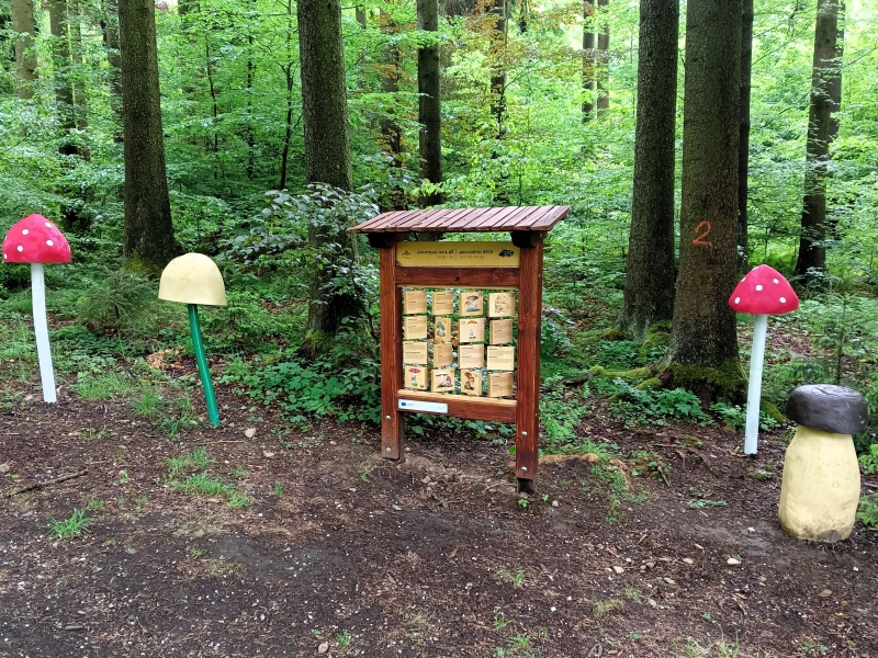 Image 13