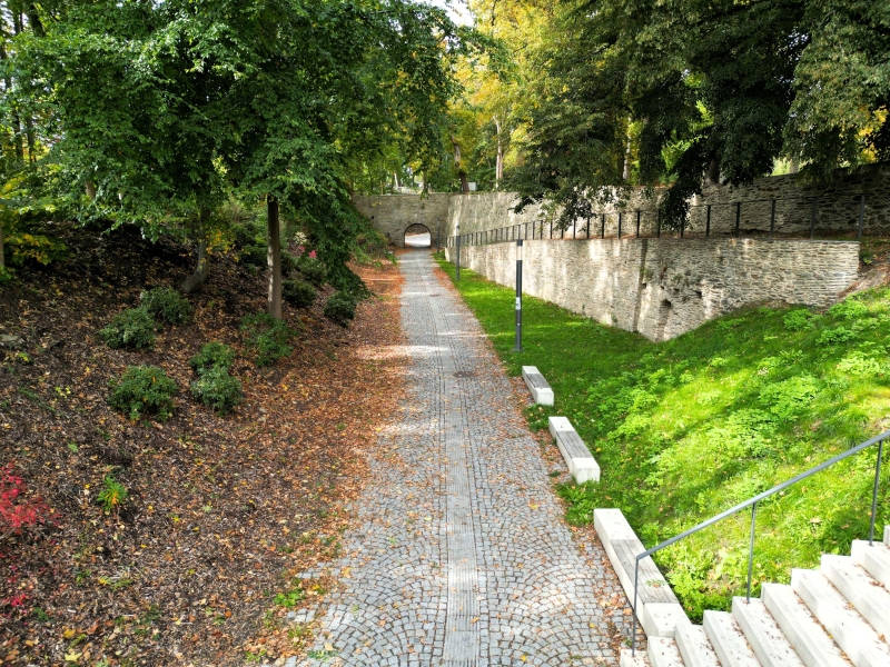 Image 15